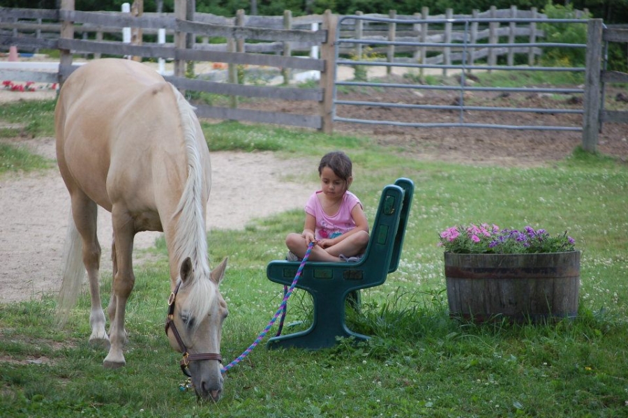 Woodstock Acres Riding Stable Woodstock, CT All ages riding lessons