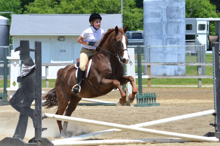 board-training-woodstock-acres-riding-school-located-in-woodstock