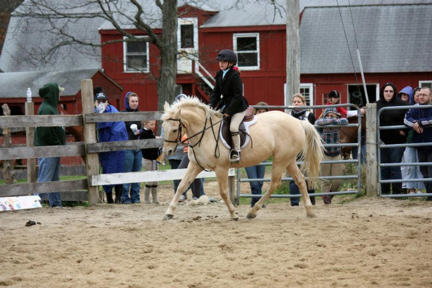 Calendar of Events Woodstock Acres Riding School Located in